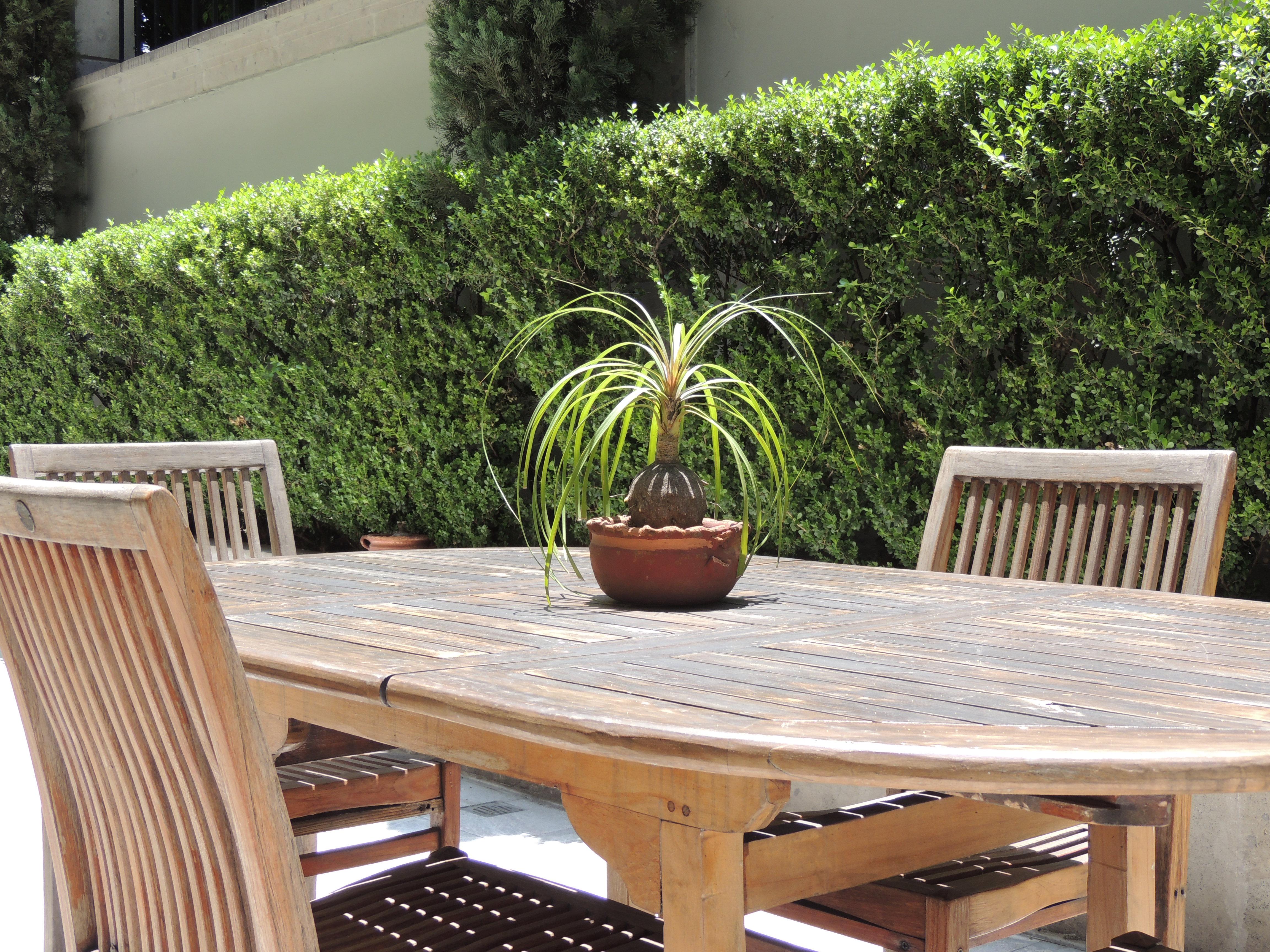 Suites Obelisk Mexico City Exterior photo